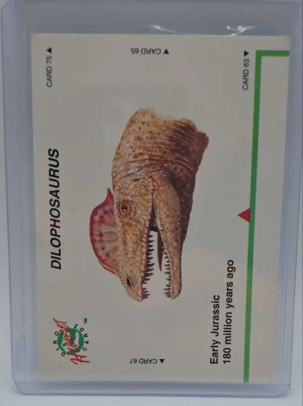 1992 DinoCardz #66 Dilophosaurus Card